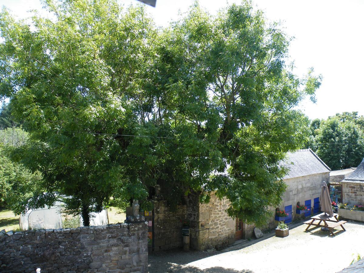 La Ferme Du Bout Du Monde Bed and Breakfast Plogoff Exterior foto